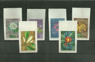 Vietnam Dem Rep 1964,  Set Of 6 Imperf Stamps,  Gac,  Flowers,  Sc 294a/9a,