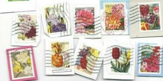 U.  S.  Stamps Scott 5042 - 5051 Botanical Art Flowers,  Set Of 10,  On Paper