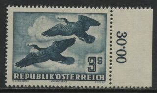 Austria 1950 - 53 Airmails Sc C57 - 3s Great Cormorants Mnh Margin Single $120