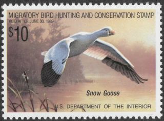 U.  S.  Rw55 Mnh Og Vf 1988 $10 Federal Duck Stamp,  Scv $17.  50