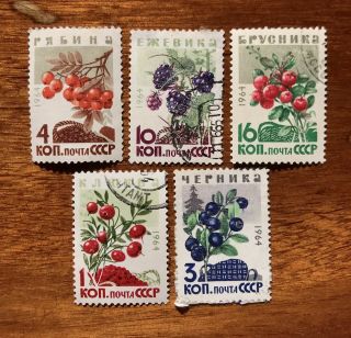 Russian Soviet Ussr Stamps Set Of 5 Stamps Rainforest Berries 1964 Year