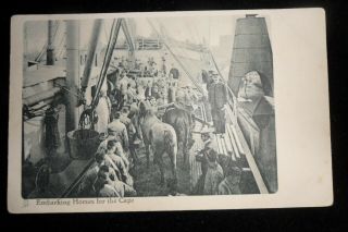Boer War British Raphael Tuck Post Card Embarking Horses For Cape
