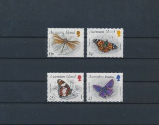 Lk72358 Ascension Island Insects Bugs Flora Butterflies Fine Lot Mnh