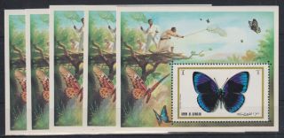 H696.  5x Umm Al Qiwain - Mnh - Insects - Butterflies - Imperf