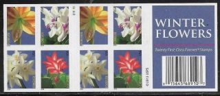 Scott 4862 - 65 Us Stamp 2014 Forever Winter Flowers Booklet Of 20 Ms97