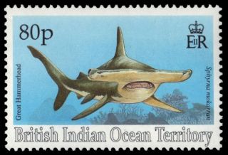 Br Indian Ocean 161 (sg165) - Great Hammerhead Shark (pa16258) Biot