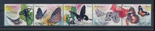 Lk64233 Malaysia Insects Bugs Flora Butterflies Fine Lot Mnh