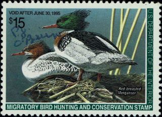 Rw 61 1994 $15 " Red - Breasted Mergansers " Duck Stamp - - Vf
