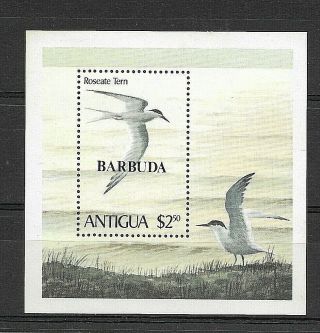 Barbuda:1980:Birds,  Set & M/S.  L.  M.  C.  £18.  50p, 2