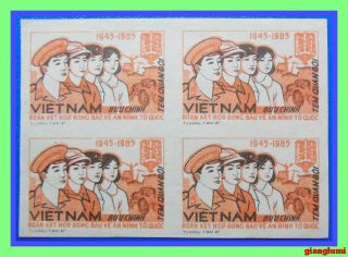 Vietnam Imperf Solidarity And Cooperation Block 4 Mnh Ngai