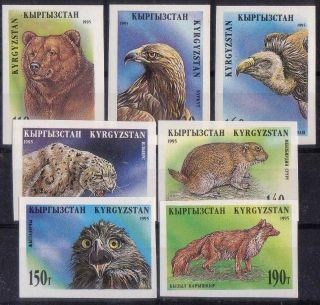 117.  Kyrgyzstan 1995 Set/7 Imperf Stamps Birds,  Animals.  Mnh