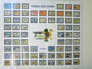 1934 - 2002 U.  S.  Federal Duck Stamp Large Art Print Poster 27 " X33 " Never Framed