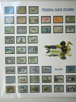 1934 - 2002 U.  S.  Federal Duck Stamp LARGE Art Print Poster 27 