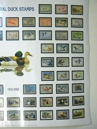 1934 - 2002 U.  S.  Federal Duck Stamp LARGE Art Print Poster 27 
