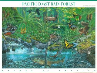 Us 2000 Nature Of America Pacific Rain Forest Sheet; 33 Cents,  Mnh Sc 3378
