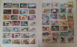 Stamps,  Mongolia,  113 Different Off Paper.