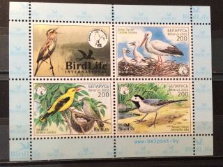 World Stamps Belarus 2007 1 Mini Sheet Bird Life Sheet (b5 - 20a)