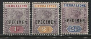 Sierra Leone Qv 1896 - 97 1d,  2d,  2 1/2d Overprinted Specimen Sg 42,  44,  45