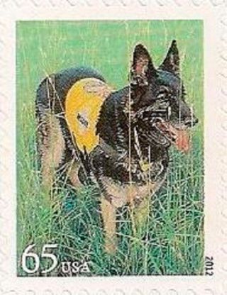 Us 4607 Dogs At Work Search And Rescue Dog 65c Single Mnh 2012