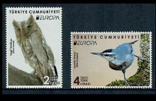 Turkey 2019 Owl,  Nuthatch On Europa National Birds Set Of Two Stamps Mnh