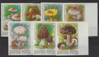 Hungary,  Magyar,  Stamps,  1984,  Mi.  3708 - 3714 B.