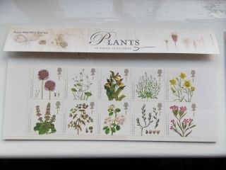 Stamp Presentation Pack X 2 Plants Uk Species In Recovery And Kew Gardens