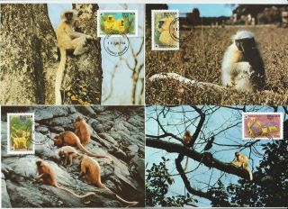 Bhutan 1984 World Wildlife Fund - Golden Langur Monkey - 4 Maximum Cards - (130)