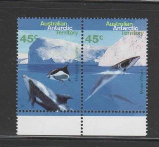 Australia L96a 1995 Whales & Dolphins Vf Nh O.  G Pair