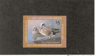 Us Federal Junior Duck Stamp,  2007,  Mnh,  Og