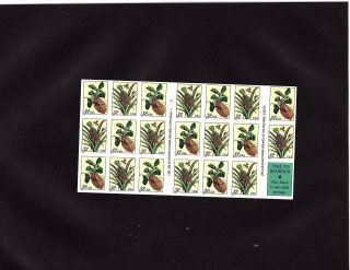 Scott 3126 - 27,  32c Stamp Merian Botanical Sheet Of 20 Mnh Og Self Adhesive