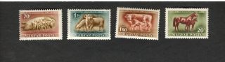 1952 Magyar Hungary Sc 929 - 932 Livestock Mh Stamps Pig Sheep Cow Horse