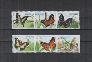 P709.  Sahara - Mnh - Nature - Butterflies