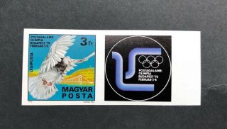 Hungary Scott No.  C353 Mnh Imperforate Imp Carrier Pigeon 