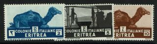 Eritrea Sc 158 - 160,  Lightly Hinged,  159 Page Remnant - Lot 112016