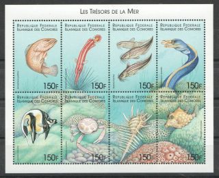V1577 Comoros Marine Life Fish Les Tresors De La Mer 1kb Mnh Stamps