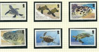 British Indian Ocean Territory Sg312 - 317 Turtles Set Mnh