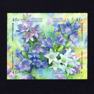 Russia 2019,  Russian Flora,  Bellflower,  Flowers,  Mnh
