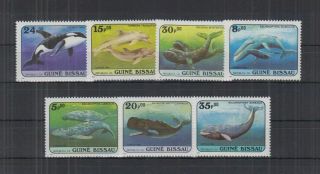 M702.  Guinea - Bissau - Mnh - Nature - Marine Life - Whales