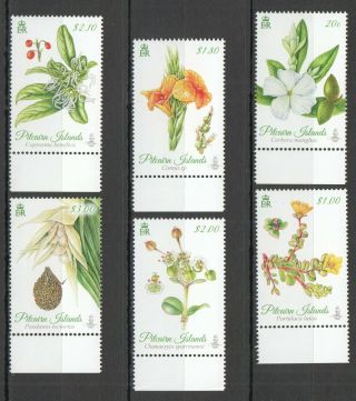 T1031 Pitcairn Islands Flora Flowers 907 - 12 Michel 20 Euro 1set Mnh