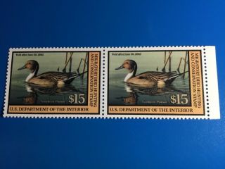 2002 Northern Pintail Duck Stamps Set Of 2