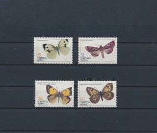 Lk72356 Portugal Azores Insects Bugs Flora Butterflies Fine Lot Mnh