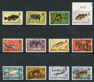 British Honduras Sg256/7 1968 Wildlife Set Of 12 (odd Perf Fault)