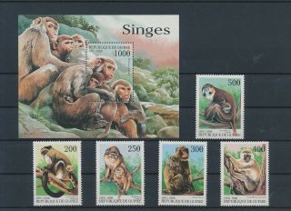 Lk76885 Guinea 1998 Monkey Animals Wildlife Fine Lot Mnh