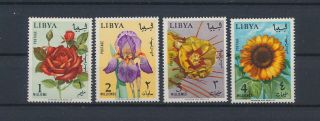 Lk76848 Libya Plants Flora Nature Flowers Fine Lot Mnh