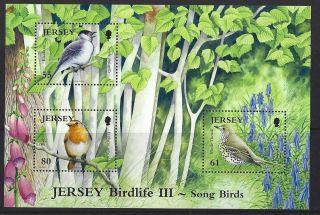 Jersey 2009 Birdlife Iii Miniature Sheet Unmounted,  Mnh