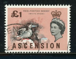 Ascension (qeii) Selections: Scott 88 £1 Red - Footed Booby Bird Cv$16,