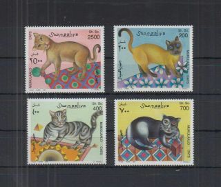 S693.  Somalia - Mnh - Nature - Cats - Art