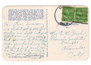 Set Of 2 Green George Washington 1 Cent Stamps On Dextone Joshua Tree Postcard