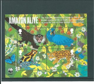 Gb - Miniature Sheet - 2011 - 50th Anniv World Wildlife Fund - Unmounted