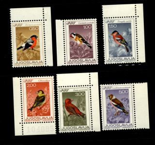 Yugoslavia 1968 Birds Set 6 Stamps Scott 912 - 17 Mnh